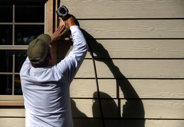 Best Siding Replacement  in Tusculum, TN